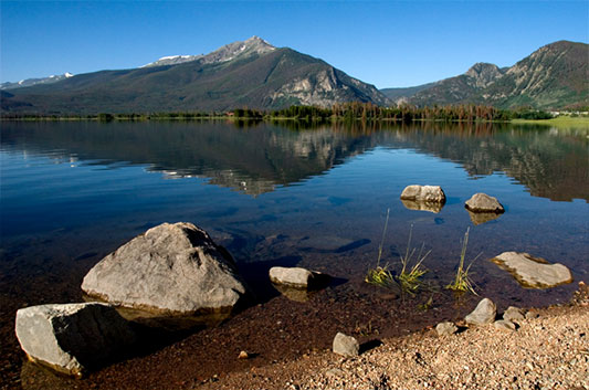 Contact the Wolf Real Estate Team and let us put experience and know-how to work for you. The Wolf Real Estate Team. Contact us today.